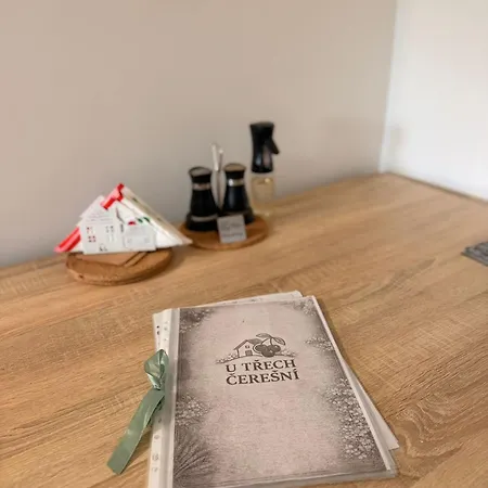 Apartamento Poblíž Ostravy *