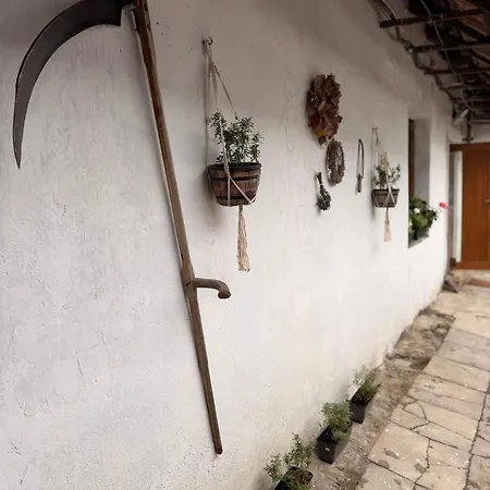 Poblíž Ostravy Apartamento Hladke Zivotice